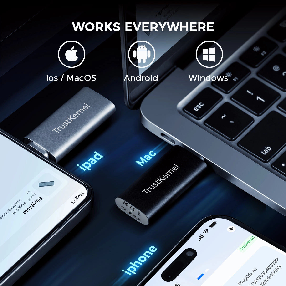 PlugMate: Your Thumb-Sized Secure Computer