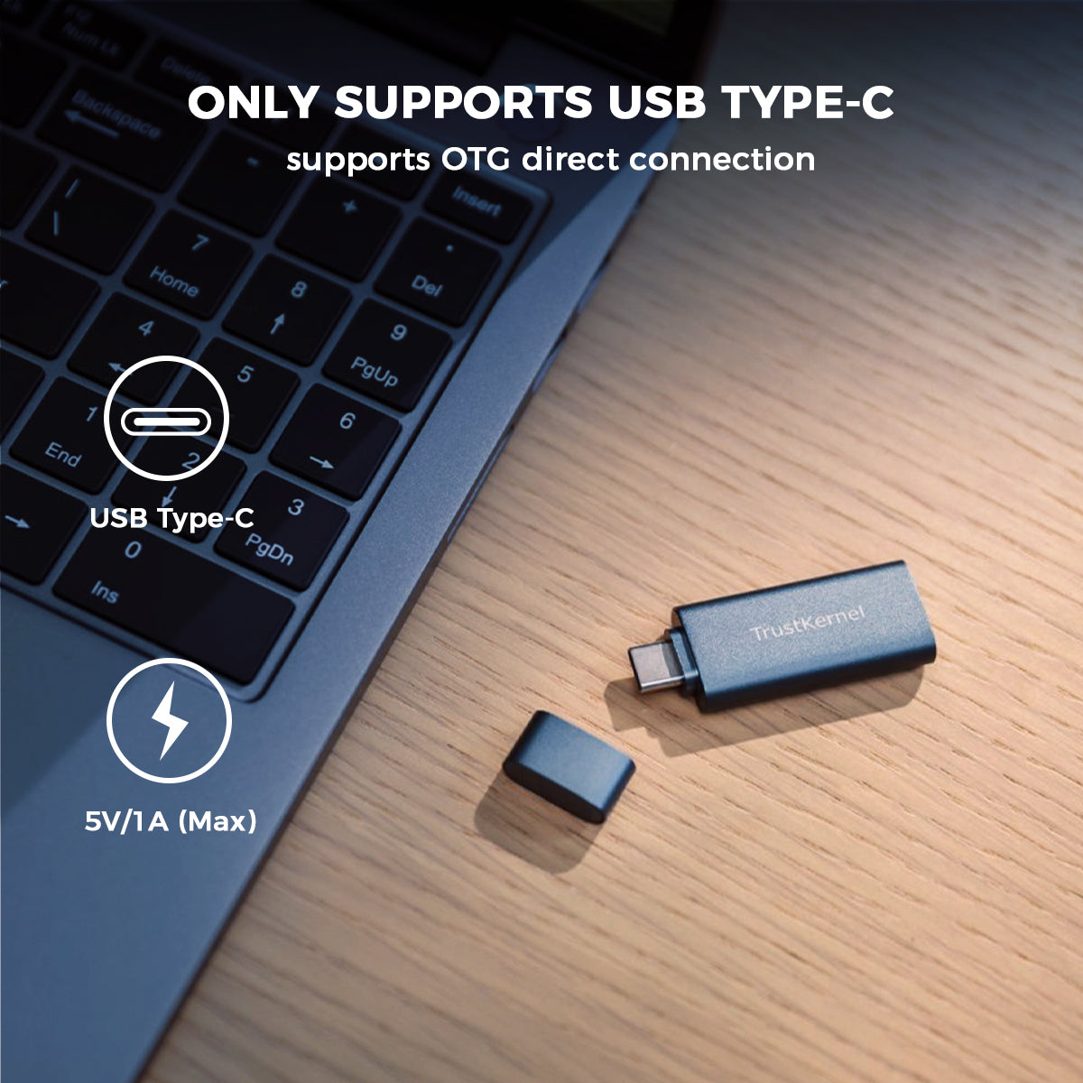 PlugMate: Your Thumb-Sized Secure Computer